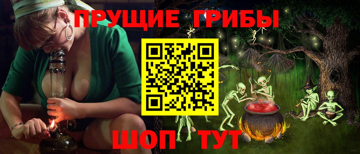 Псилоцибиновые грибы Psilocybine cubensis  наркошоп  Кунгур  Вход с VPN 